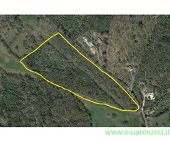 Terreno coltivabile mq34910 Privato