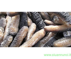 Cetrioli di mare