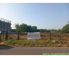Terreno edificabile mq6000 Professionale