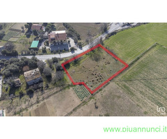Terreno edificabile mq1450 Privato
