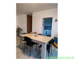 Affitto appartamento Confine mq90 numero localitre