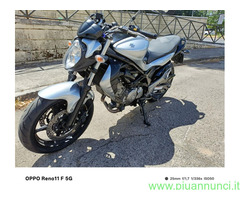 SUZUKI SFV Gladius 650 SFV GLADIUS Naked