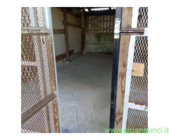 Affitto terreno non edificabile mq15 Privato