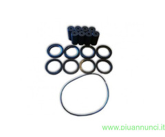 KIT RIPARAZIONE PER POMPA FERRONI MT300