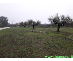 Terreno edificabile mq3635 Privato