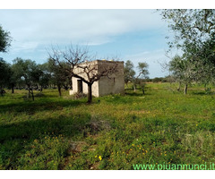 Affitto terreno non edificabile mq7900 Privato