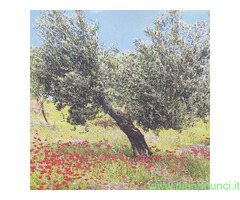 Fatina sensitiva medium cartomante
