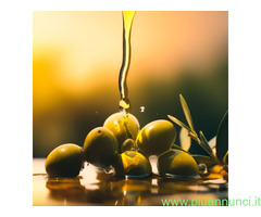 OLIO EVO BORGUNTO
