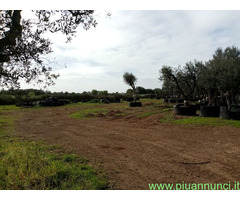 Affitto terreno edificabile mq8000 Privato